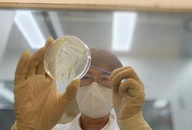 경기도, 5월 해수서 비브리오패혈증균 검출… 여름철 해산물 주의 당부