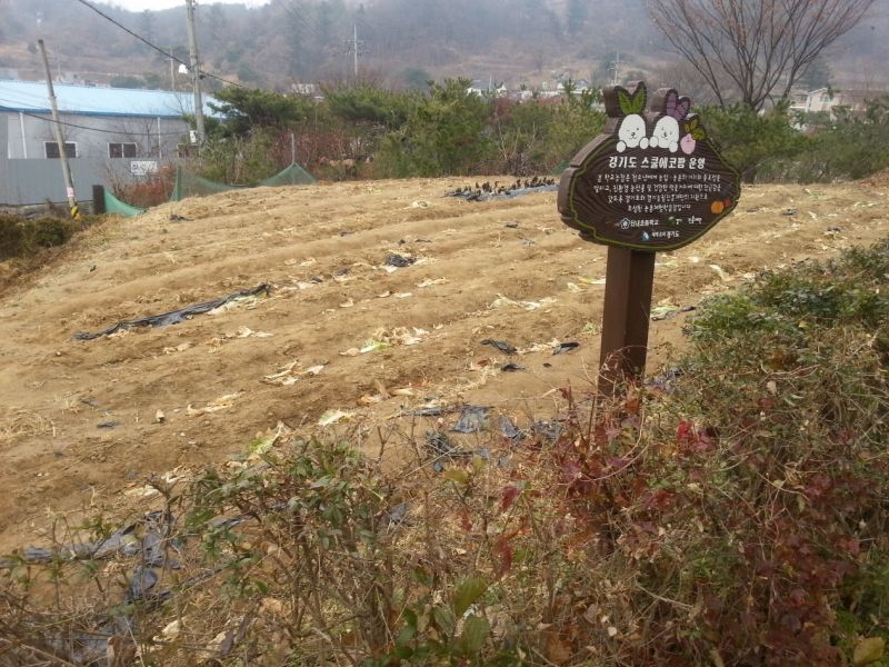 [친환경학교농장(남양주답내초) 운영사진]