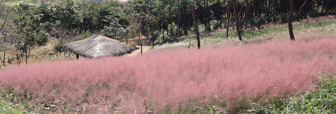 억재원