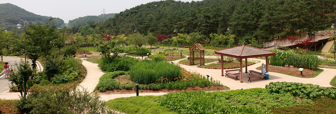 <strong>야외화단</strong>