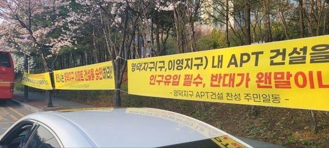 <strong>특정인들이 경남아너스빌 13단지 담장 주변에 아파트 건설 찬성 현수막 게제한 현수막들</strong>