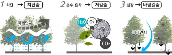 <strong>공기정화 도시숲 개념도</strong>