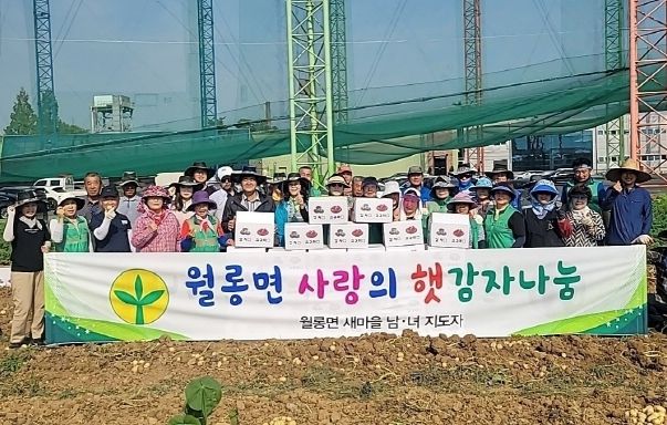 파주시 월롱면 새마을회 사랑의 햇감자 나누기