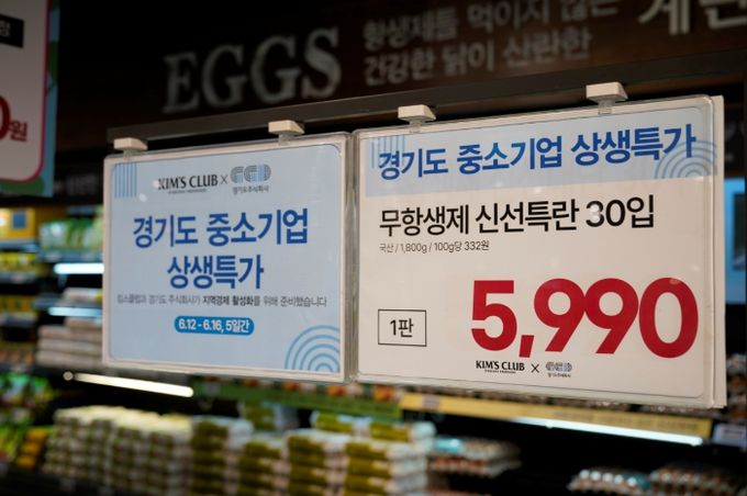 6월 기획전