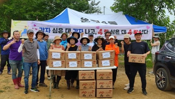 파주시 운정4동, 이웃사랑으로 일궈낸 햇감자 나눔