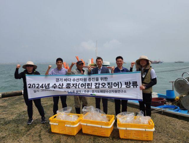 시흥시, 경기도와 갑오징어 종자 시험 방류...수산자원 증대 도모