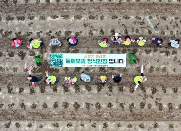 양평군 개군면 지역사회보장협의체, 들깨 파종