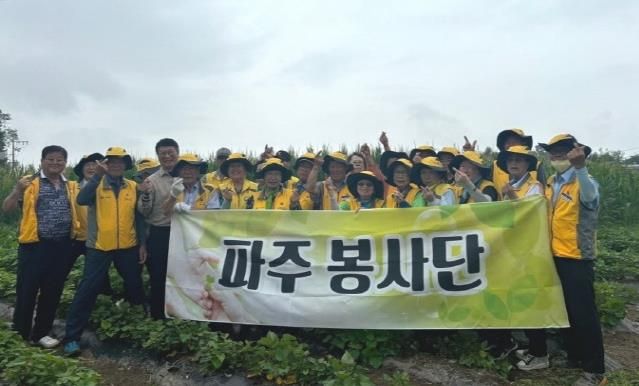 파주시 파주읍 파주봉사단, '고령농가 일손돕기 봉사활동'