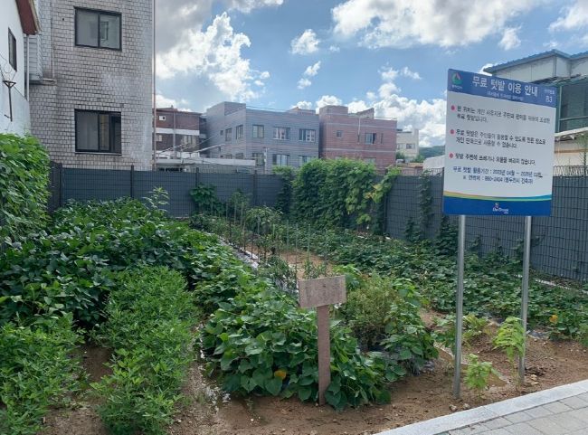 빈집 정비 후 사진