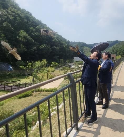 경기도 야생동물구조관리센터, 멸종위기종 참매 치료 후 자연으로 돌려보내