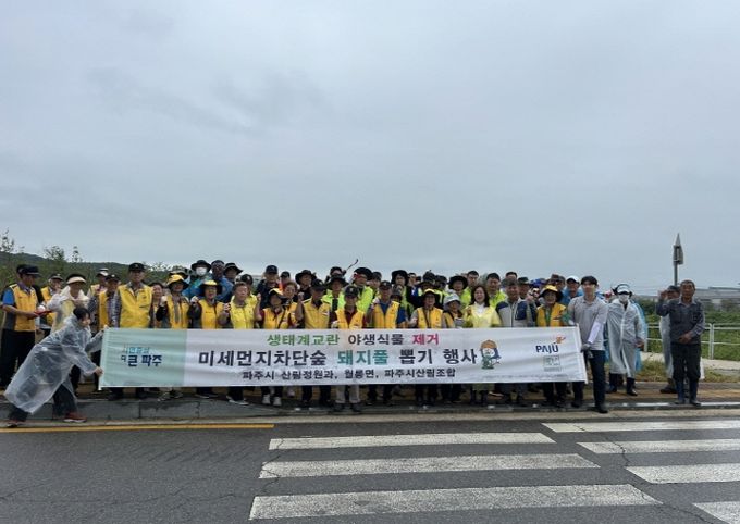 파주시, 미세먼지 차단숲에서 생태계교란 야생식물 제거