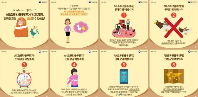파주시, 조류인플루엔자 인체감염 예방 주의 당부