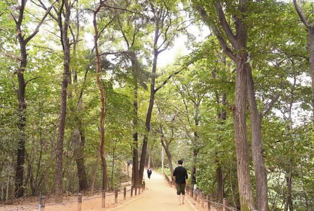 광교호수공원 내에 조성된 황톳길을 시민들이 걷고 있는 모습.