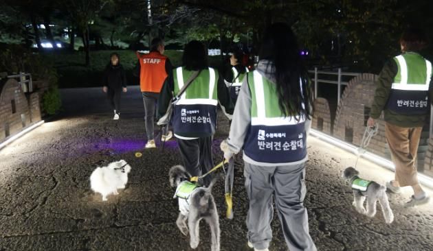 수원시 반려견 순찰대가 합동 순찰을 하고 있다
