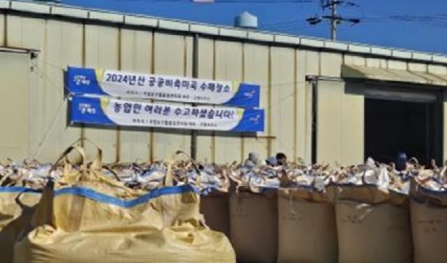 파주시, 2024년산 공공비축미곡 수매 돌입…총 7,756포 매입