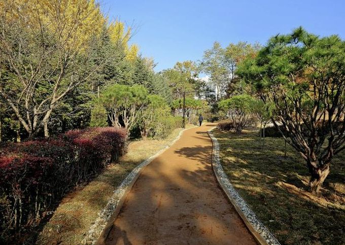 탄현공원 자연 흙길 및 산책로