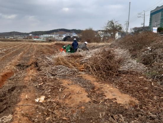 파주시, 봄철 산불예방 위한 농업부산물 파쇄사업 실시