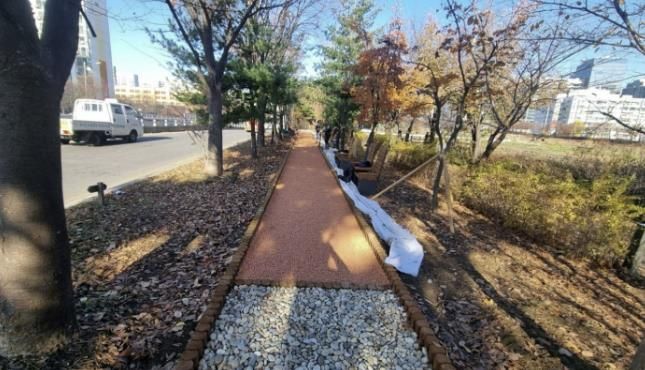 안양천 제방 녹지대에 조정된 황토볼길