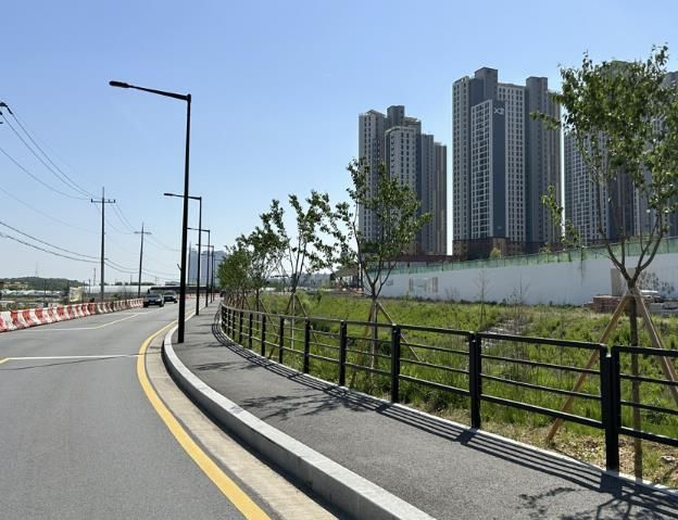 견달산천 가로수 식재사업