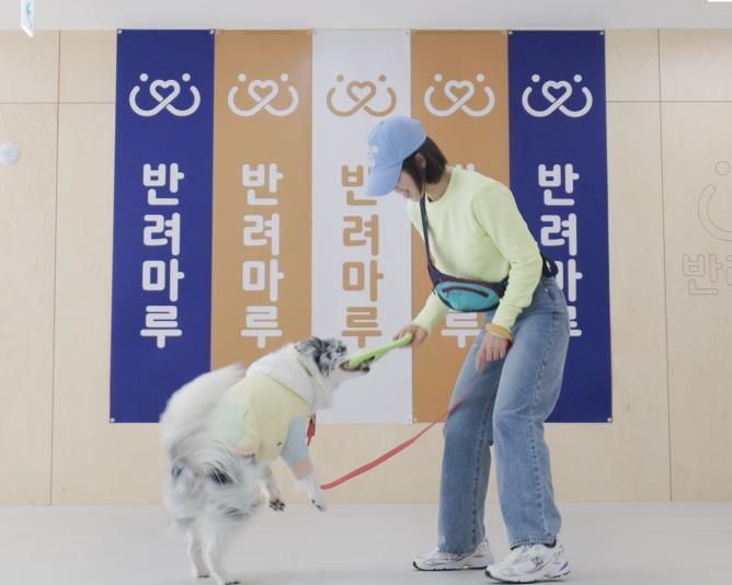 독댄스