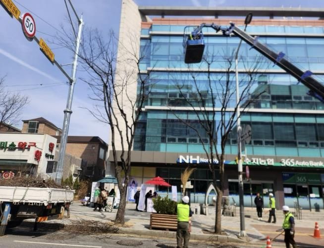 수지구 관계자들이 가로수를 정비하고 있다