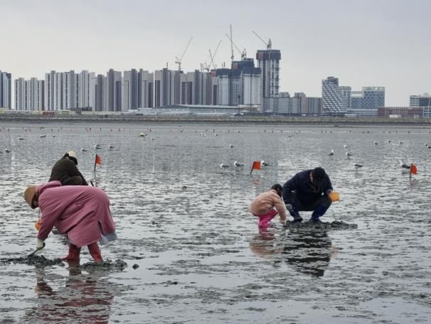 시흥 명소 오이도, 어촌체험휴양마을 제2체험장 4월 1일 개장