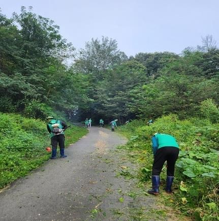 파주시, 생태계교란 야생식물 제거 지원 사업 추진