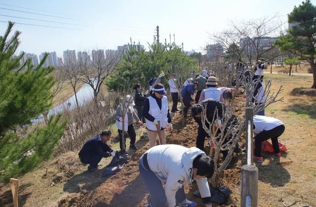 평택시 참여의 숲에 (주)카카오와 함께하는 (사)더 나눔 무궁화동산 조성