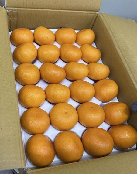 유치원에 지원되는 제철과일
