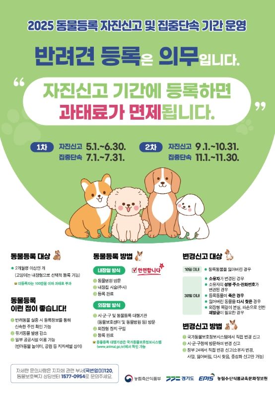 반려동물 등록 자진신고 홍보물