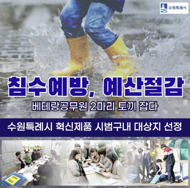 홍보물