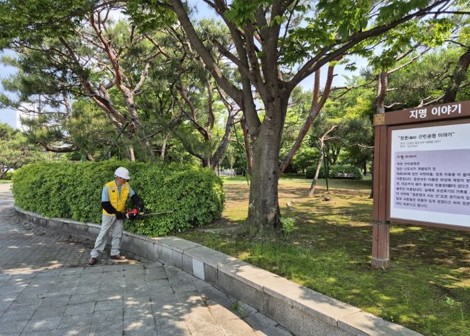 장충공원 관목류 전정