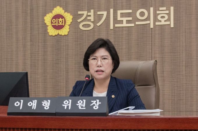 이애형 의원, 추경 불용 및 예비비 이월 문제 지적...계획성 없는 예산편성 반성해야