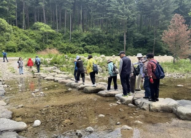 구리시, 치매 돌봄 가족 대상 '숲 체험 산림치유 프로그램' 운영