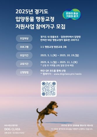 입양동물 행동교정 지원사업 참여가구 모집