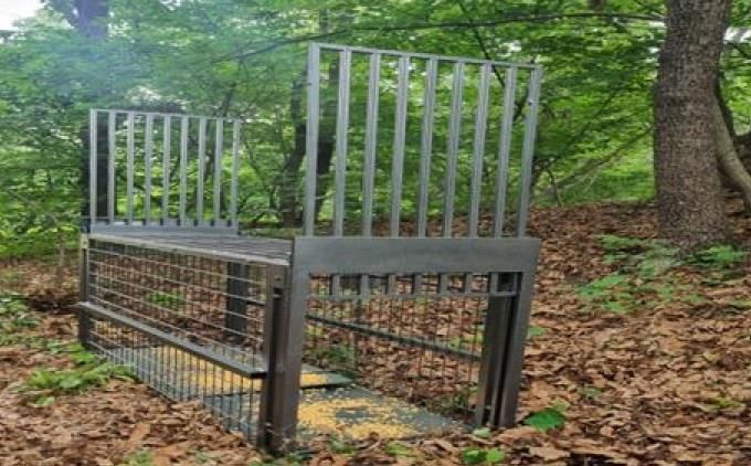 파주시, 대성동 멧돼지 포획틀 설치로 주민 안전 확보 나서