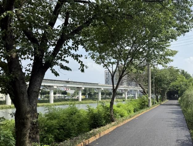 용인특례시는 유림동 일대 경안천 제방 둑마루 구간을 정비했다