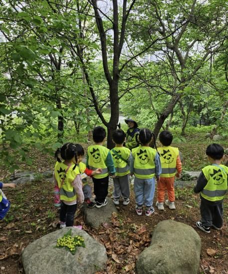 용인특례시에서 지난해 진행한 유아숲체험 프로그램 현장 사진