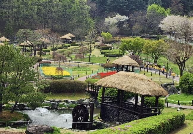 용인특례시 농촌테마파크 여름철 전경