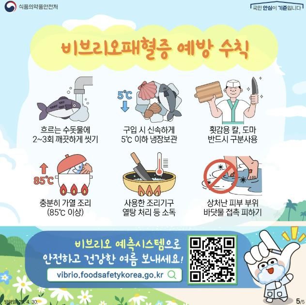 비브리오패혈증 예방 수칙 안내