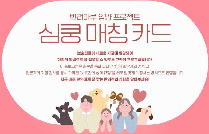 심쿵 매칭 카드