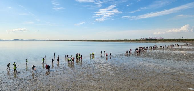 ‘2025 시화호 갯벌 맨발걷기 페스타’ 로 치유ㆍ회복 시간 선사